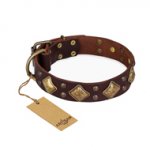 "Golden Square" FDT Artisan Brown Leather Riesenschnauzer Collar with Large Squares