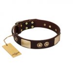 "Sense of Freedom" FDT Artisan Brown Leather Riesenschnauzer Collar with Old Bronze-Plated Studs and Plates