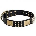 Spiked Leather Riesenschnauzer Collar with Plates and Cones