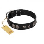 "Scythian Silver" Stylish Handmade FDT Artisan Black Leather Riesenschnauzer Collar