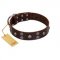 "Skull Valley" Handcrafted FDT Artisan Brown Leather Riesenschnauzer Collar with Skulls