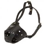 Everyday Leather Riesenschnauzer Muzzle for Training