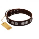 "High and Mighty" FDT Artisan Classy Brown Leather Riesenschnauzer Collar with Embellished Brooches