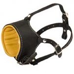 Snout Short Leather Riesenschnauzer Muzzle Padded with Nappa Leather