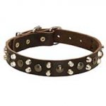 Leather Riesenschnauzer Collar With Studs and Pyramids