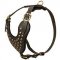 Adjustable Studded Leather Riesenschnauzer Harness for Fashion Walking
