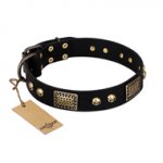 "Biker Style" FDT Artisan Black Leather Riesenschnauzer Collar with Old Bronze Look Plates and Skulls