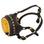 Open Nose Studded Leather Riesenschnauzer Muzzle With Nappa Padding