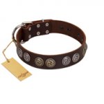 "Treasure Hunter" FDT Artisan Brown Leather Riesenschnauzer Collar with Old-Bronze-like and Silvery Medallions