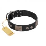 "Square Stars" Modern FDT Artisan Black Leather Riesenschnauzer Collar with Square Plates and Studs