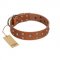 "Enchanted Skulls" FDT Artisan Tan Leather Riesenschnauzer Collar with Chrome Plated Skulls