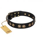 "Golden Artifact" FDT Artisan Black Leather Riesenschnauzer Collar with Old-bronze Covered Medallions
