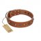 "Silver Age" Fashionable FDT Artisan Tan Leather Riesenschnauzer Collar with Silver-Like Studs