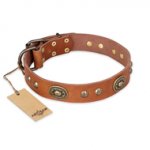 "Stunning Dress" FDT Artisan Tan Leather Riesenschnauzer Collar with Old Bronze Look Plates and Studs