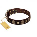 "Captain Hook" FDT Artisan Brown Leather Riesenschnauzer Collar with Stars and Skulls