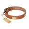 "Enchanting Spectacle" FDT Artisan Tan Leather Riesenschnauzer Collar with Old Bronze Look Plates and Round Studs