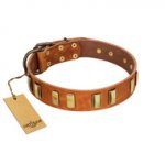 "Olive Slice" FDT Artisan Tan Leather Riesenschnauzer Collar with Engraved and Smooth Plates