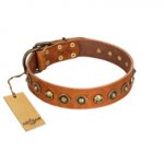"Prez of the Pack" FDT Artisan Tan Leather Riesenschnauzer Collar with Skulls and Brooches