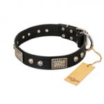 "Pirates Gold" FDT Artisan Black Leather Riesenschnauzer Collar with Old Silver Look Plates and Skulls