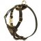 Tracking Walking Walking Leather Riesenschnauzer Harness for Puppies