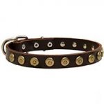 Leather Riesenschnauzer Collar with Brass Dotted Circles for Fashion Walking