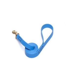 Blue Waterproof Riesenschnauzer Leash Made of Biothane