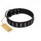 "Black Prince" Handmade FDT Artisan Black Leather Riesenschnauzer Collar with Silver-Like Adornments