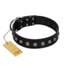 "Silver Flower" Exclusive FDT Artisan Black Leather Riesenschnauzer Collar with Silver-Like Studs