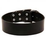 Extra Wide Leather Riesenschnauzer Collar for Professional Training