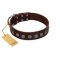"Starry-Eyed" Best Quality FDT Artisan Brown Designer Leather Riesenschnauzer Collar with Small Plates