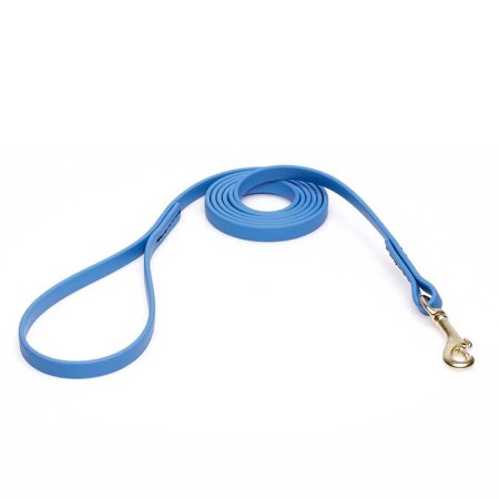 Amazing Blue Biothane Riesenschnauzer Leash for Walking, Tracking