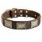 Leather Riesenschnauzer Collar with Massive Brass Plates