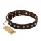 "Bronze Sheen" FDT Artisan Leather Riesenschnauzer Collar with Brass-Plated Studs