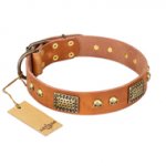 "Saucy Nature" FDT Artisan Tan Leather Riesenschnauzer Collar with Old Bronze Look Plates and Skulls