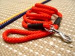 Riesenschnauzer Nylon Leash Multifunctional