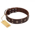 "Stars in Sands" Modern FDT Artisan Brown Leather Riesenschnauzer Collar with Studs and Stars