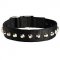 Exclusive Nylon Riesenschnauzer Collar with Awesome Nickel Cones