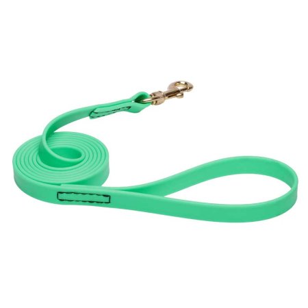 Green Waterproof Riesenschnauzer Leash Made of Biothane