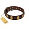 "Crystal Mirror" FDT Artisan Handmade Brown Leather Riesenschnauzer Collar - 1 1/2 inch (40 mm) Wide