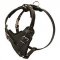 Protection Leather Riesenschnauzer Harness for Attack / Agitation Dog Training
