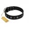 "Mr. Elegance" Designer FDT Artisan Black Leather Riesenschnauzer Collar with Silver-Like Studs
