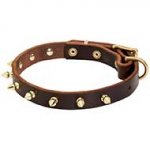 Walking Designer Leather Riesenschnauzer Collar with Brass Spikes