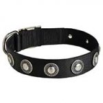 Riesenschnauzer Nylon Dog Collar with Circles Decoration