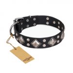 "Smart Geometry" FDT Artisan Studded Leather Riesenschnauzer Collar