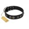 "Century Silver" Designer Handmade FDT Artisan Black Leather Riesenschnauzer Collar