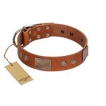 "Great Obelisk" Handcrafted FDT Artisan Tan Leather Riesenschnauzer Collar with Large Plates and Pyramids
