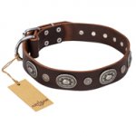 "Extra Pizzazz" FDT Artisan Adorned Brown Leather Riesenschnauzer Collar