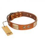 "Perfect Blend" FDT Artisan Tan Leather Riesenschnauzer Collar 1 1/2 inch (40 mm) wide
