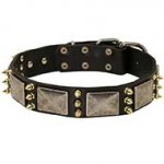 Riesenschnauzer Spiked Leather Collar with Nickel Plates