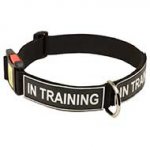 All Weather Nylon Riesenschnauzer Collar with ID Patches